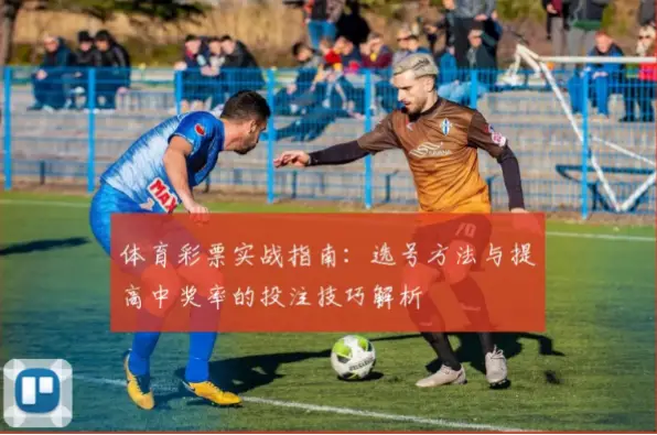 500com彩票选号技巧：实用步骤与理性投注